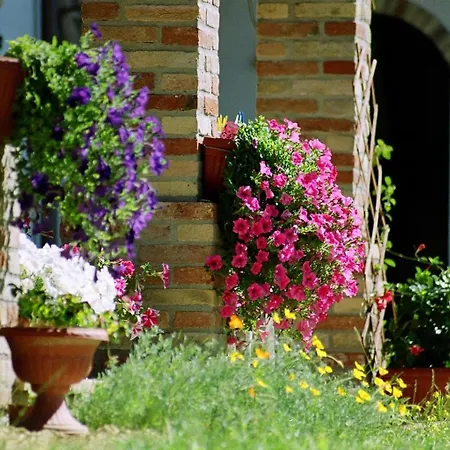 Cascina Favorita Farma *