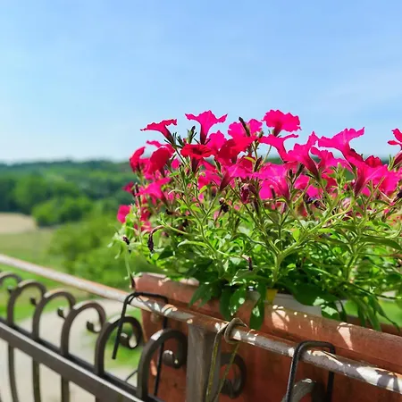 Farma Cascina Favorita Alfiano Natta