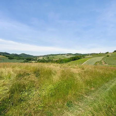 Cascina Favorita アルフィアーノ・ナッタ