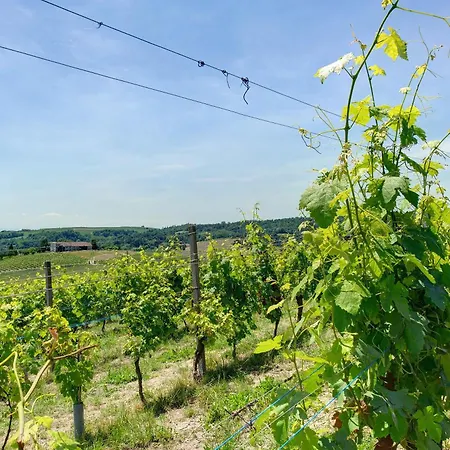 Cascina Favorita * Alfiano Natta