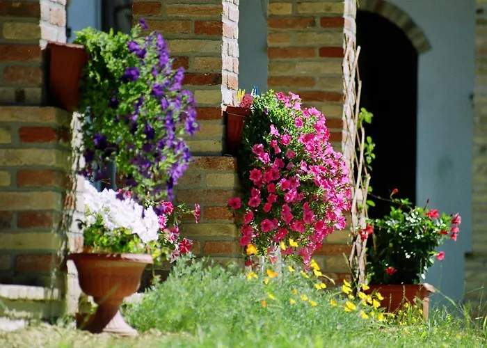 Vakantieboerderij Cascina Favorita Alfiano Natta